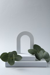 Photo of Stylish presentation with beautiful eucalyptus branches on white background