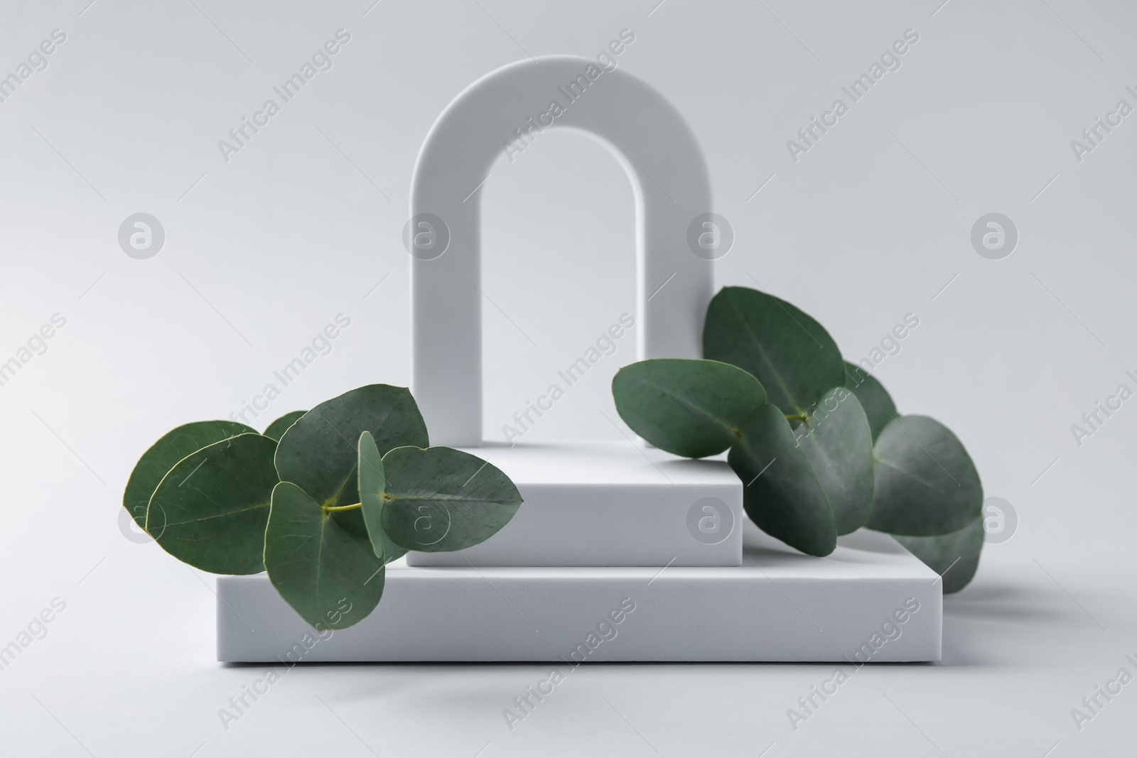 Stylish presentation with beautiful eucalyptus branches on white background Photo of Stylish presentation with beautiful eucalyptus branches on white background