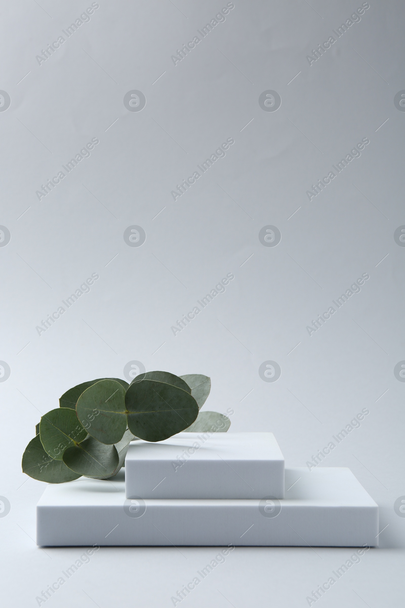 Stylish presentation with beautiful eucalyptus branches on white background Photo of Stylish presentation with beautiful eucalyptus branches on white background