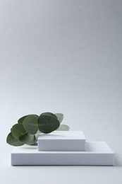 Photo of Stylish presentation with beautiful eucalyptus branches on white background