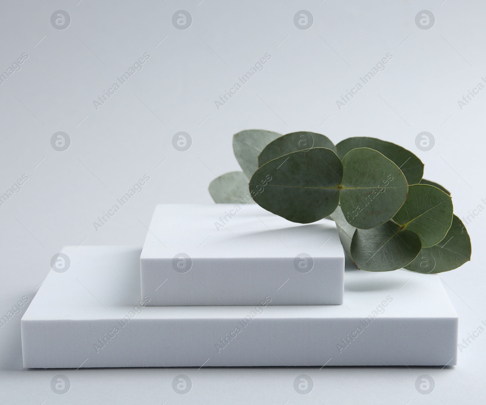 Stylish presentation with beautiful eucalyptus branches on white background Photo of Stylish presentation with beautiful eucalyptus branches on white background
