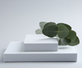 Photo of Stylish presentation with beautiful eucalyptus branches on white background