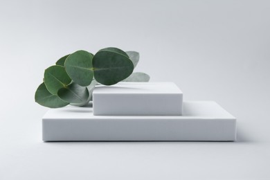 Photo of Stylish presentation with beautiful eucalyptus branches on white background
