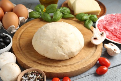 Photo of Making pizza. Different ingredients on gray wooden table, closeup