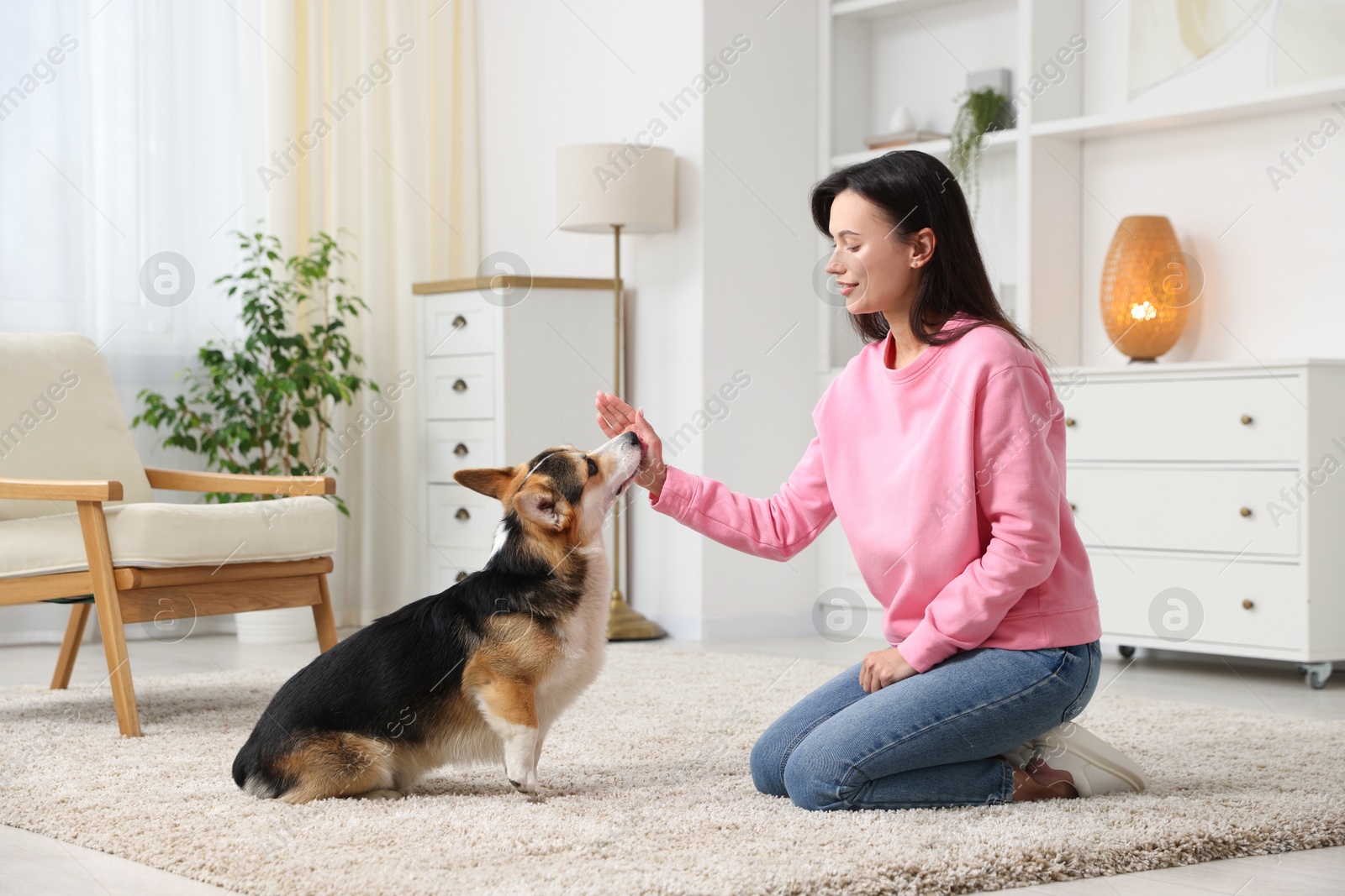 Happy woman training her dog on floor at home Photo of Happy woman training her dog on floor at home