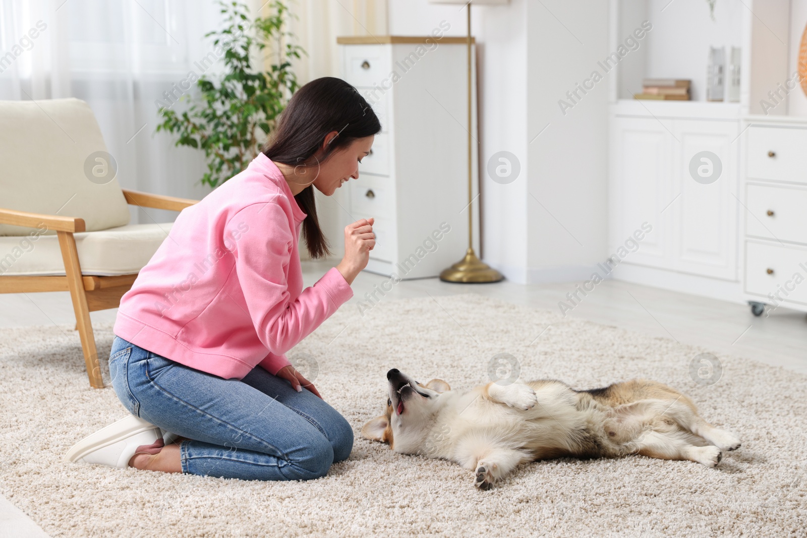 Happy woman training her dog on floor at home Photo of Happy woman training her dog on floor at home