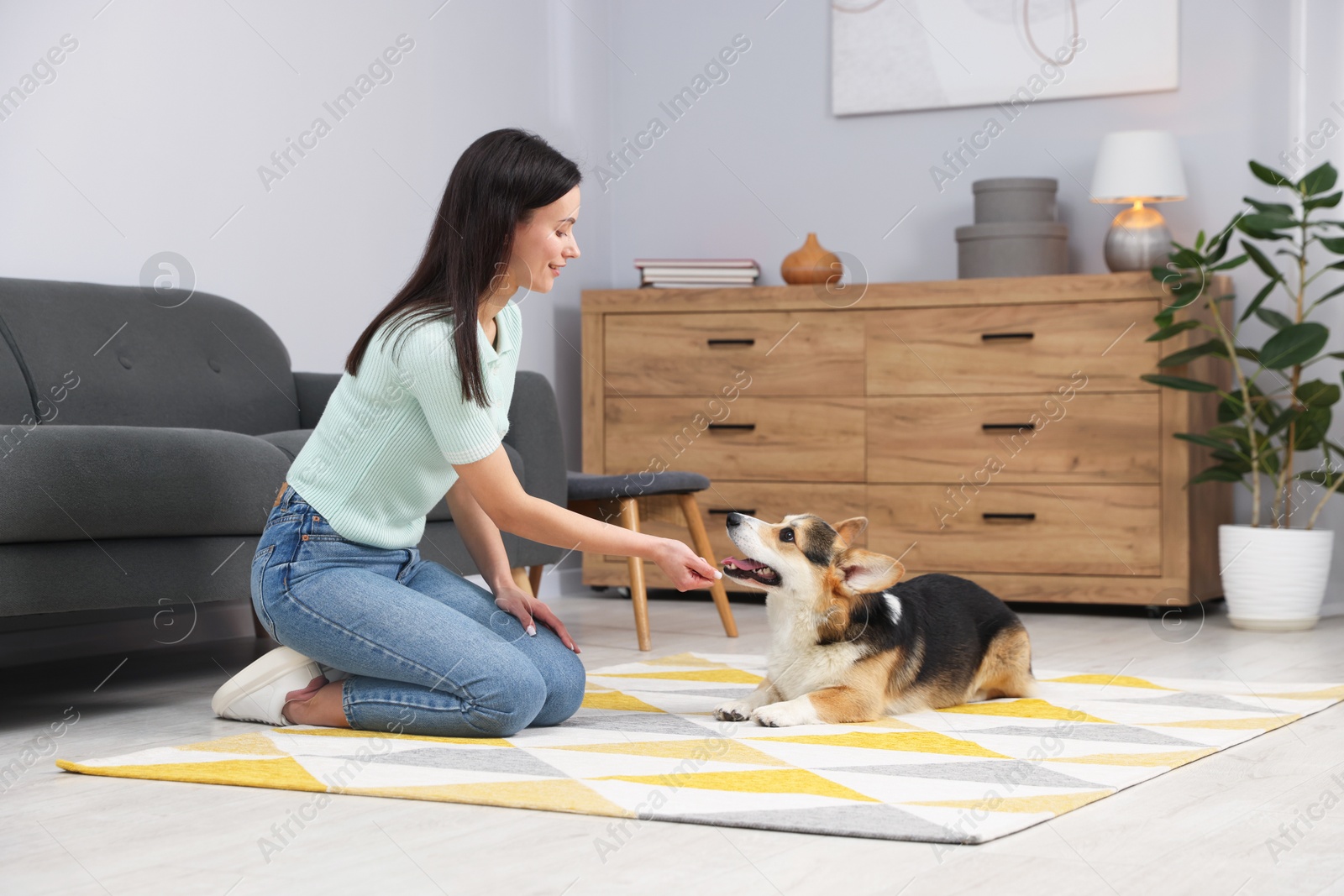 Photo of Happy woman training her dog on floor at home