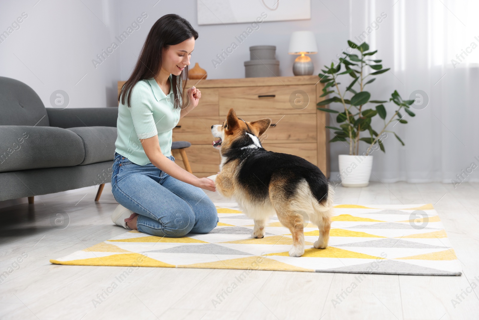 Photo of Happy woman training her dog on floor at home