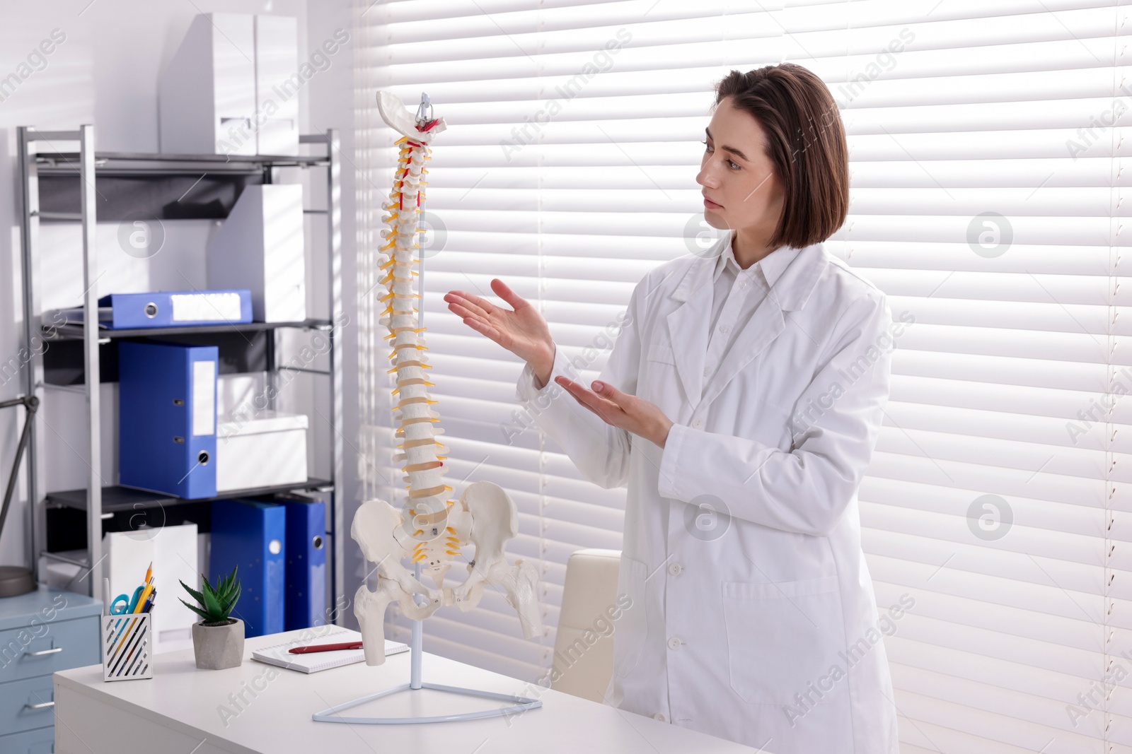 Doctor demonstrating human spine model at desk in clinic Photo of Doctor demonstrating human spine model at desk in clinic