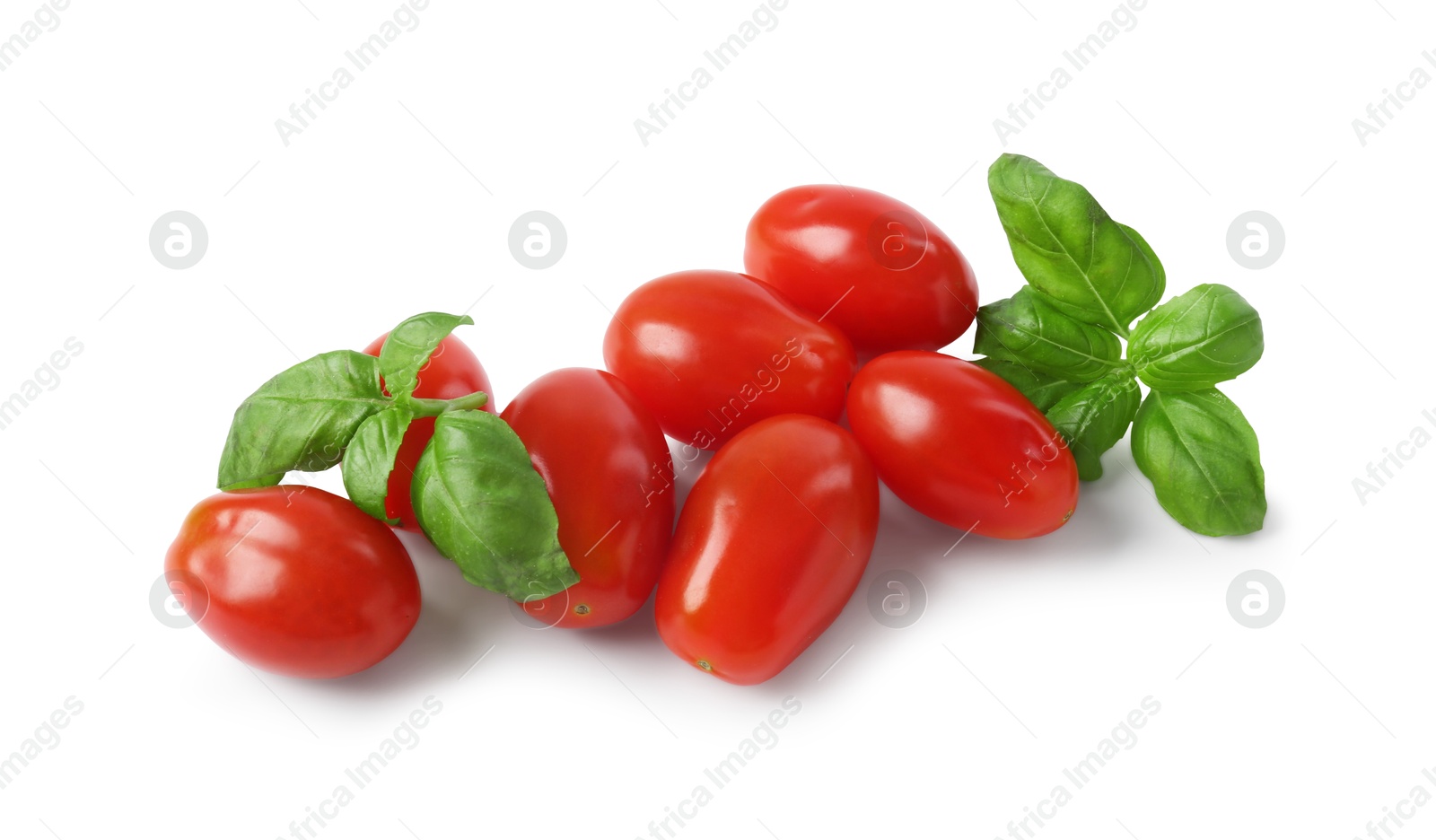 Fresh tomatoes and basil for pizza isolated on white Photo of Fresh tomatoes and basil for pizza isolated on white