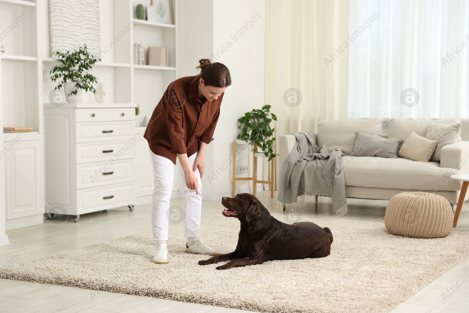 Beautiful woman training her dog at home Photo of Beautiful woman training her dog at home