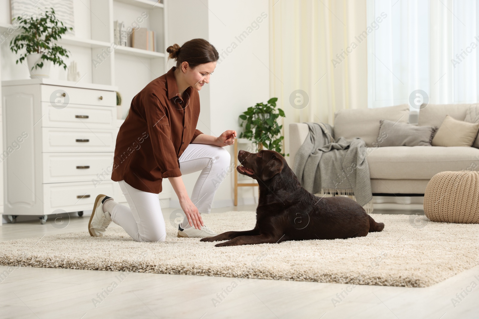 Beautiful woman training her dog at home Photo of Beautiful woman training her dog at home