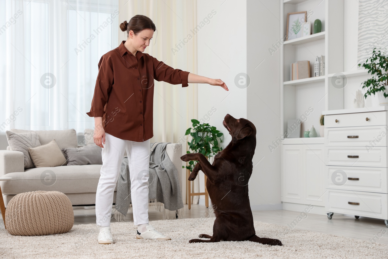 Beautiful woman training her dog at home Photo of Beautiful woman training her dog at home