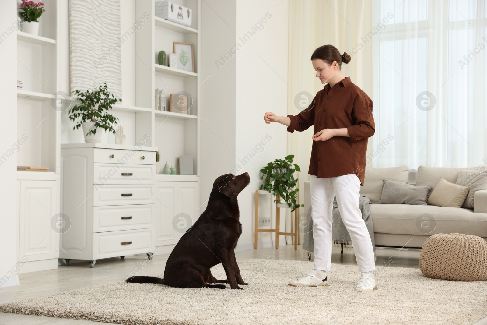 Beautiful woman training her dog at home Photo of Beautiful woman training her dog at home