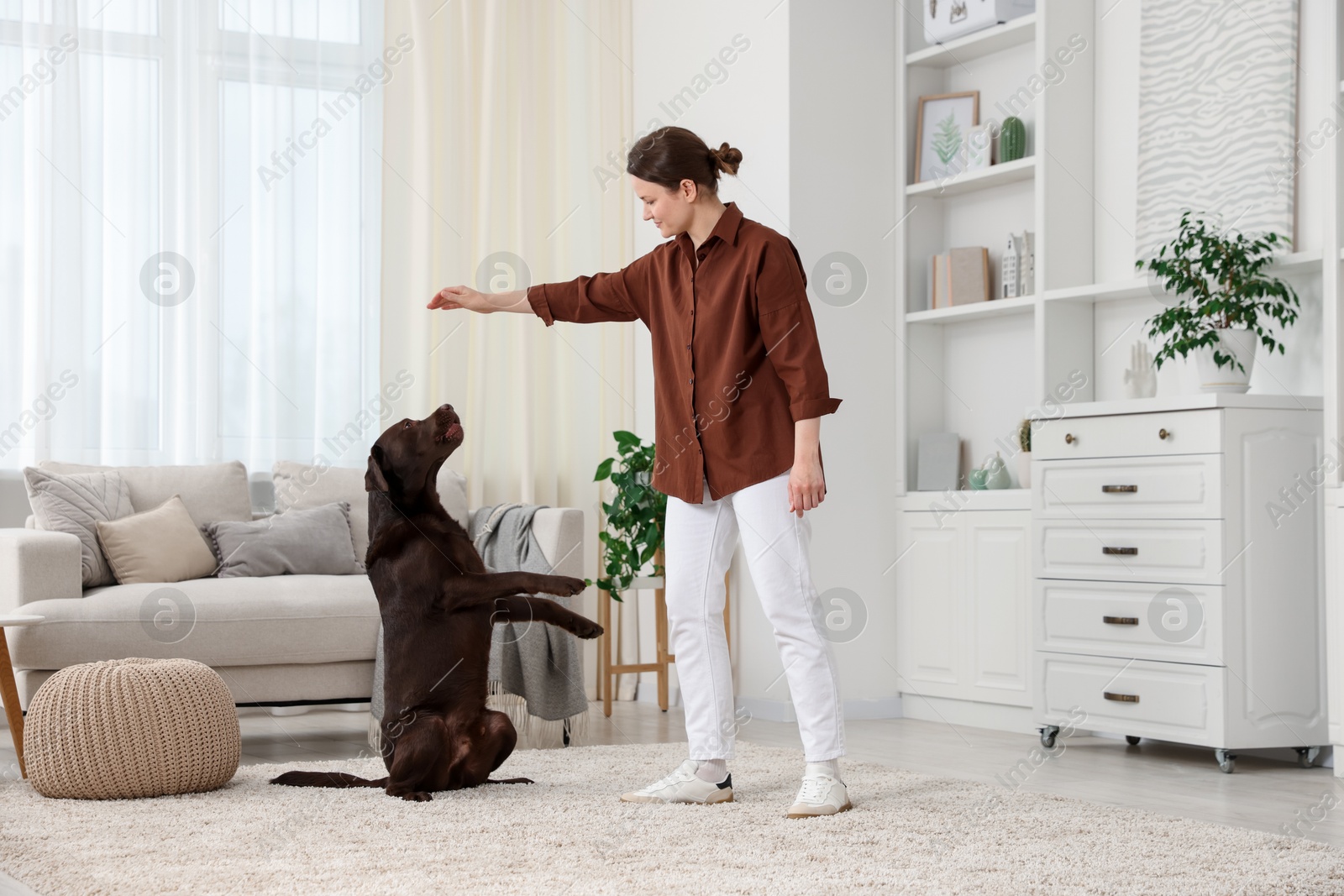 Beautiful woman training her dog at home Photo of Beautiful woman training her dog at home