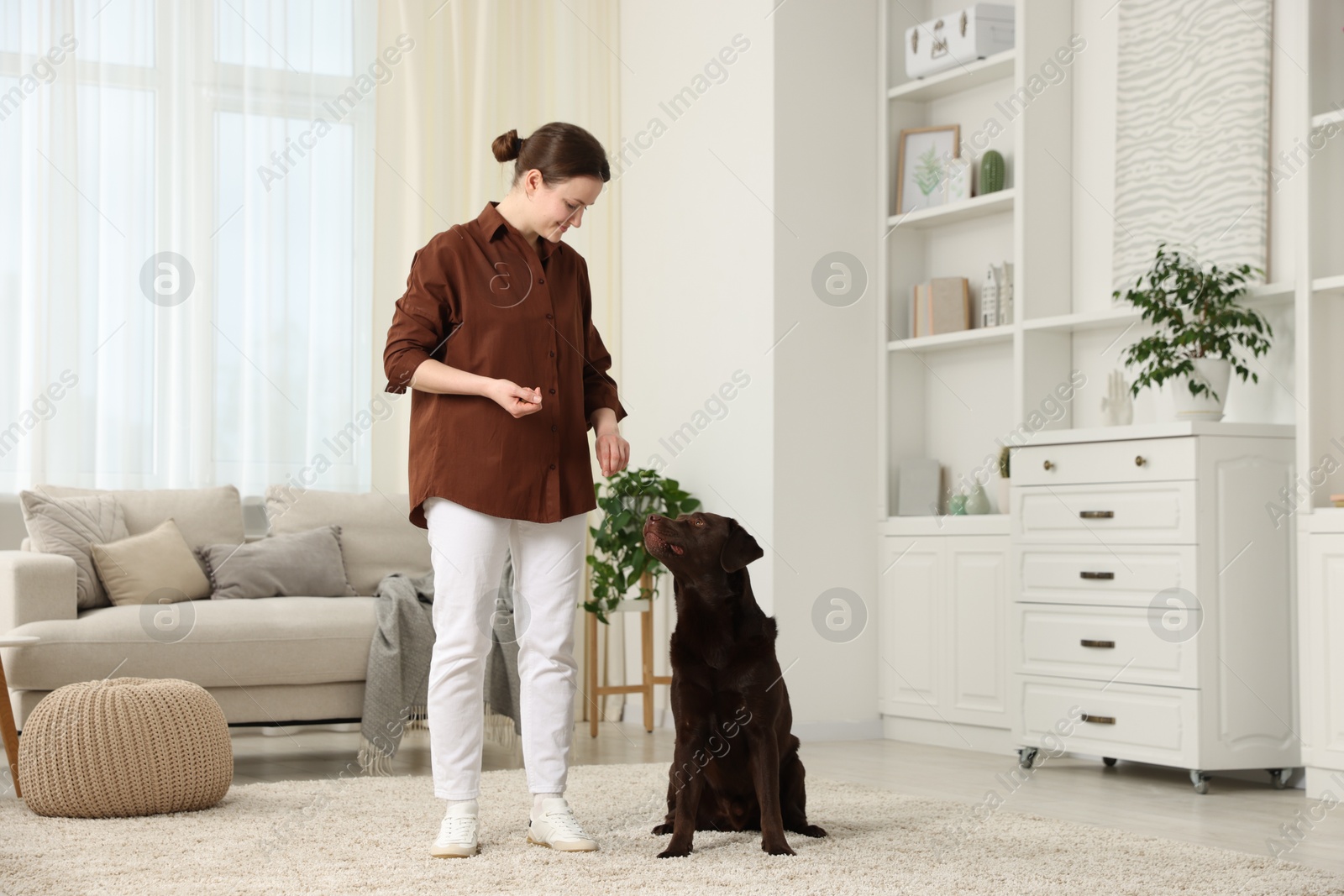 Beautiful woman training her dog at home Photo of Beautiful woman training her dog at home