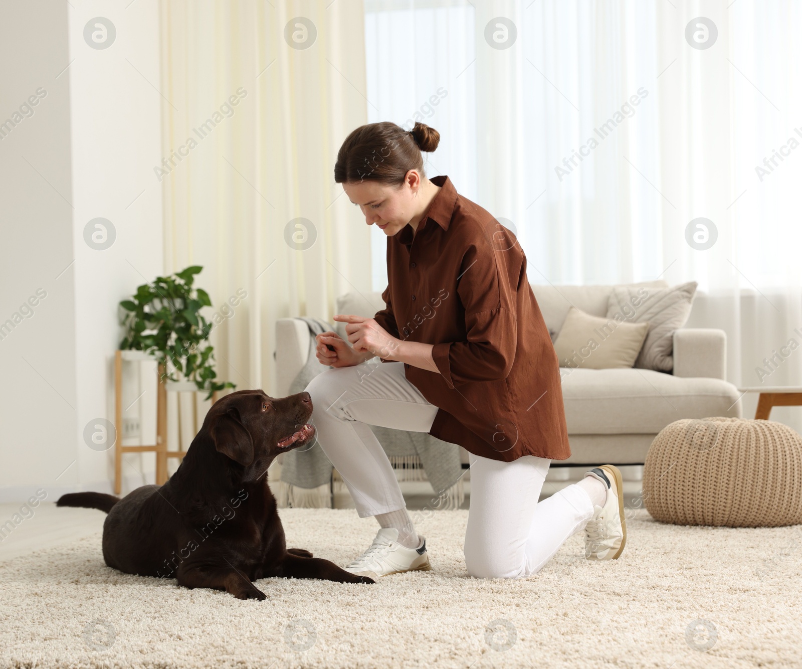 Beautiful woman training her dog at home Photo of Beautiful woman training her dog at home