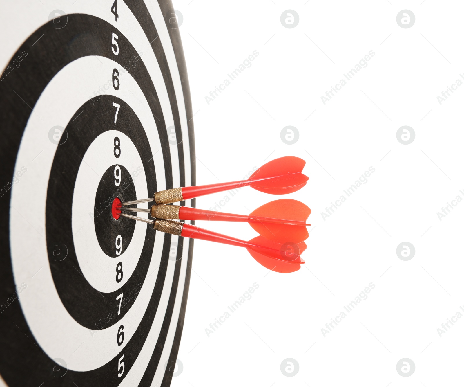 Targeting. Dart board with arrows isolated on white Photo of Targeting. Dart board with arrows isolated on white