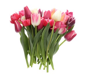 Photo of Beautiful colorful tulip flowers on white background