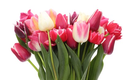 Photo of Beautiful colorful tulip flowers on white background
