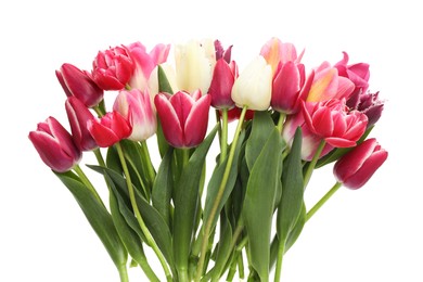 Photo of Beautiful colorful tulip flowers on white background