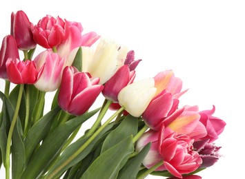 Photo of Beautiful colorful tulip flowers on white background