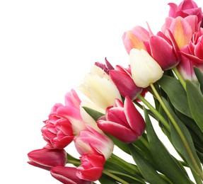 Photo of Beautiful colorful tulip flowers on white background