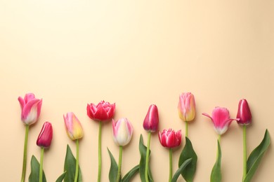 Photo of Beautiful tulips on beige background, flat lay. Space for text