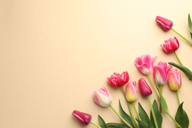 Photo of Beautiful tulips on beige background, flat lay. Space for text