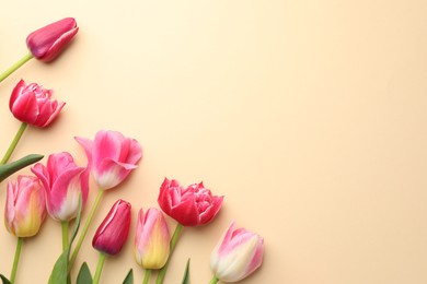 Photo of Beautiful tulips on beige background, flat lay. Space for text