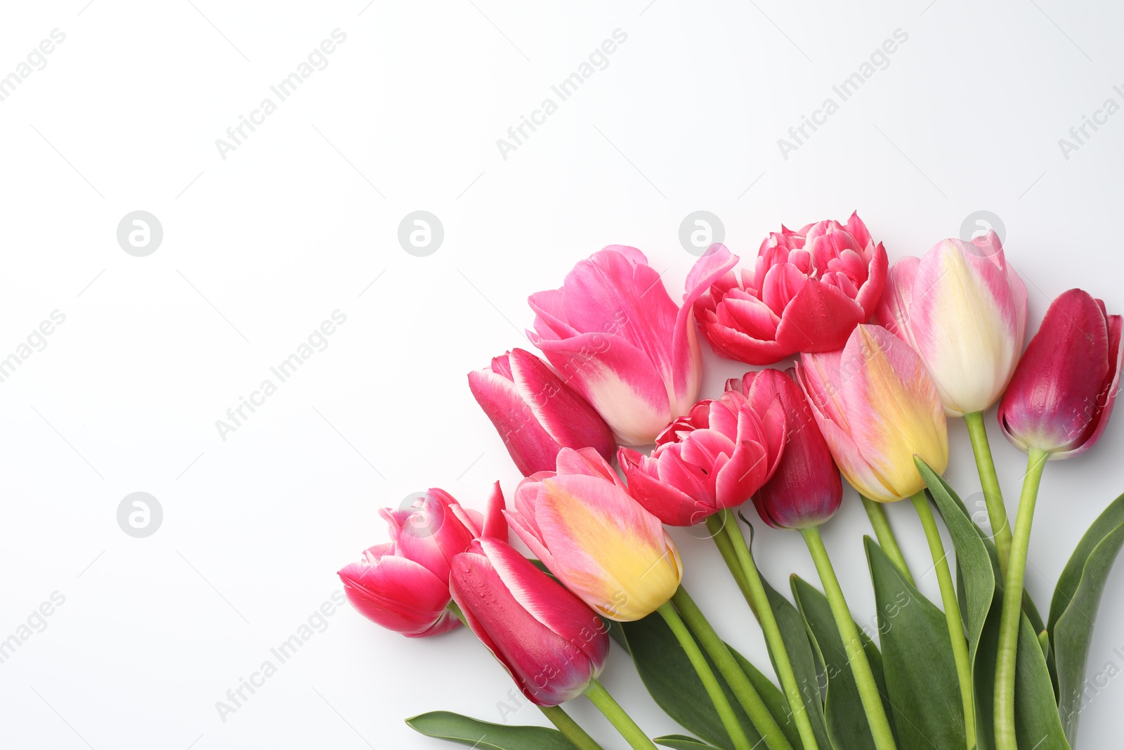Photo of Beautiful tulips on white background, flat lay. Space for text