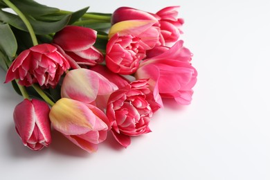 Photo of Beautiful tulips on white background, closeup. Space for text