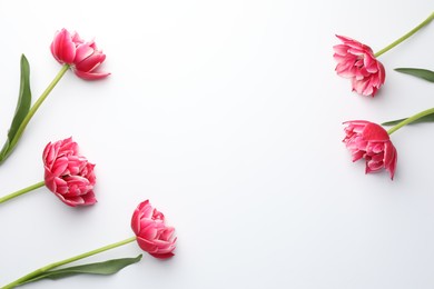 Photo of Beautiful tulips on white background, flat lay. Space for text