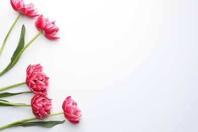 Photo of Beautiful tulips on white background, flat lay. Space for text