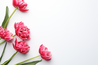 Photo of Beautiful tulips on white background, flat lay. Space for text