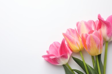 Photo of Beautiful tulips on white background, flat lay. Space for text