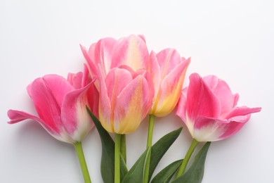 Photo of Beautiful tulips on white background, flat lay