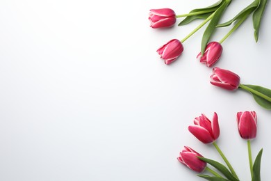 Photo of Beautiful tulips on white background, flat lay. Space for text