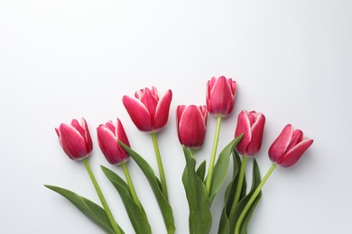 Photo of Beautiful tulips on white background, flat lay