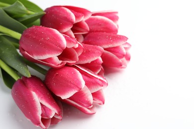 Photo of Beautiful tulips on white background, closeup. Space for text