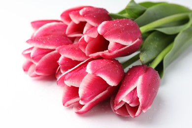 Photo of Beautiful pink tulips on white background, closeup