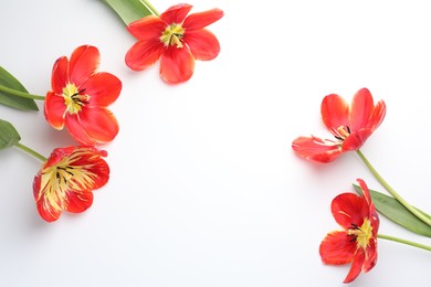Photo of Beautiful tulips on white background, flat lay. Space for text
