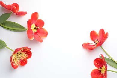 Photo of Beautiful tulips on white background, flat lay. Space for text