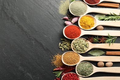 Photo of Different aromatic spices in spoons on black table, flat lay. Space for text
