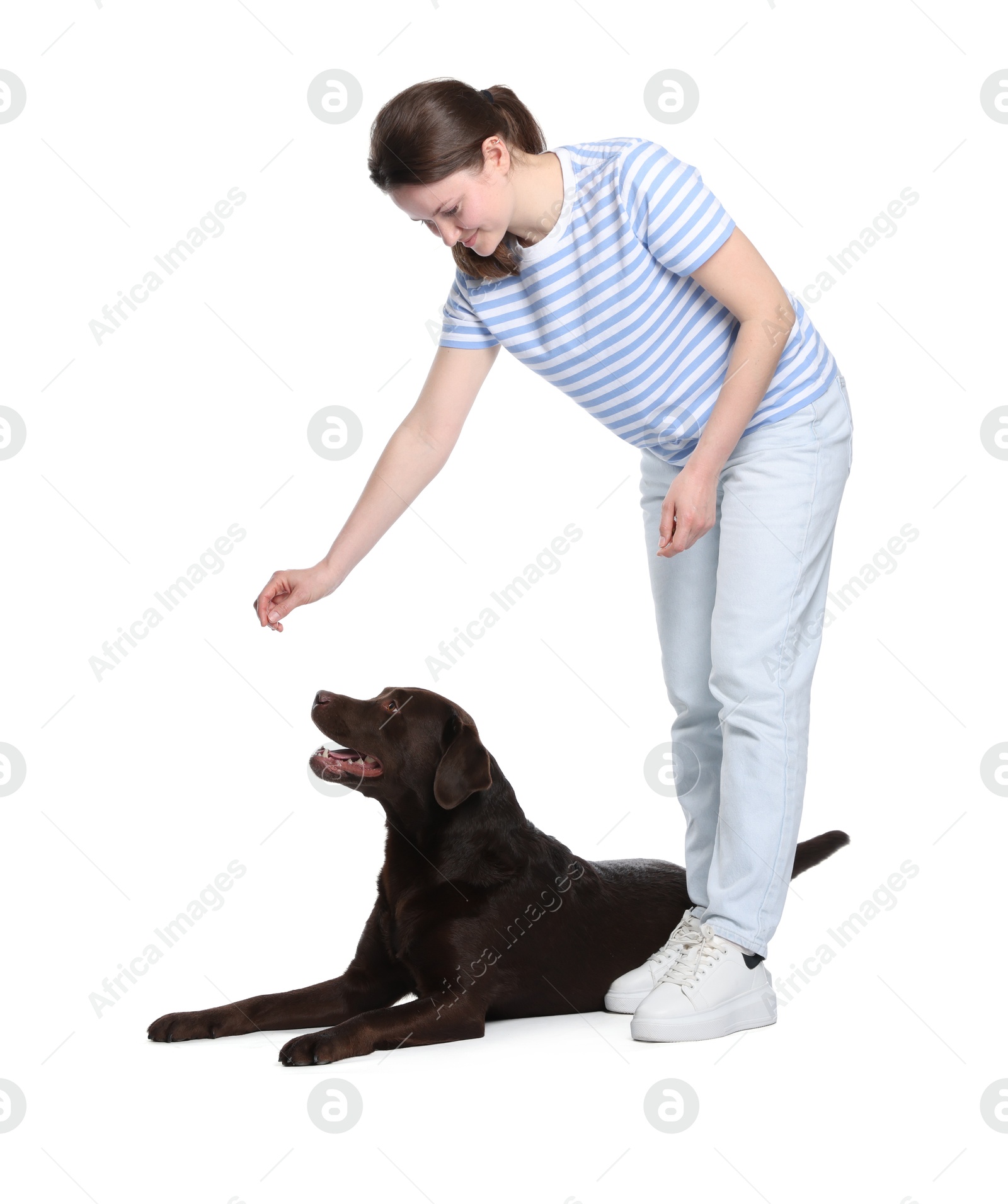 Happy woman training her dog on white background Photo of Happy woman training her dog on white background