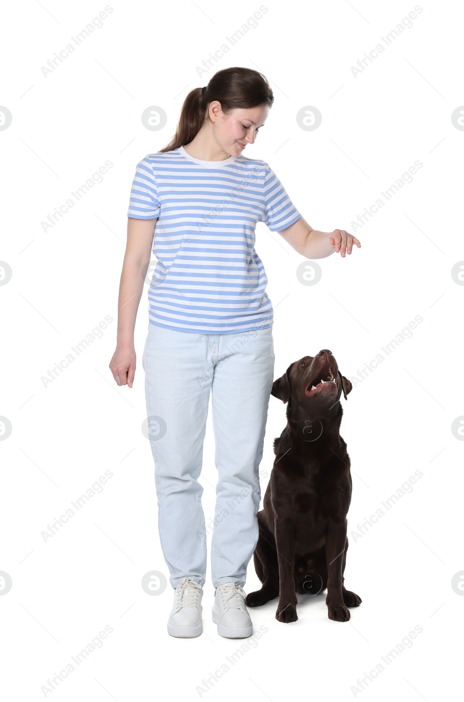 Photo of Happy woman training her dog on white background