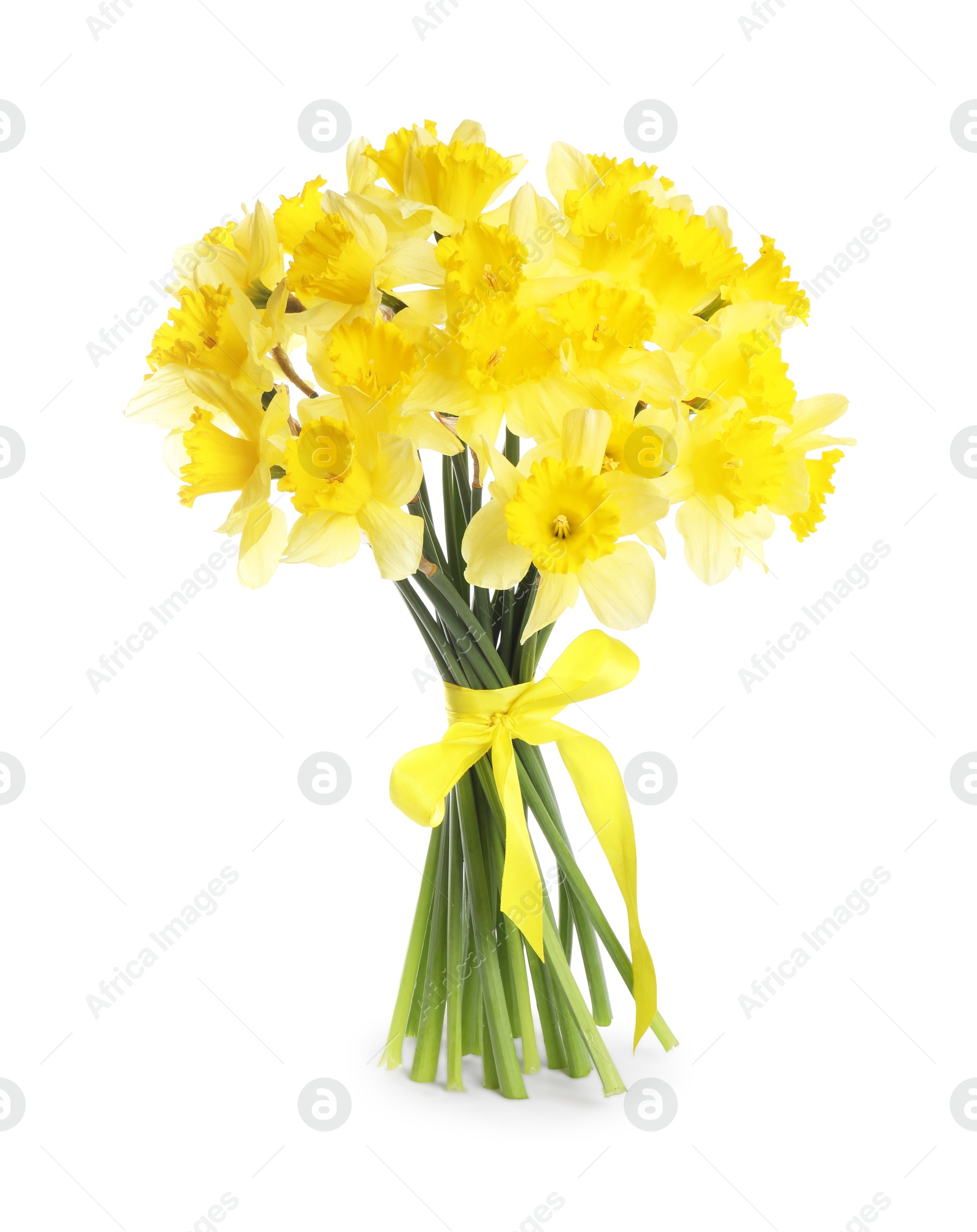 Bouquet of beautiful daffodils isolated on white Photo of Bouquet of beautiful daffodils isolated on white