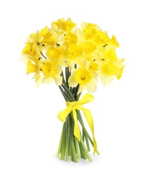 Photo of Bouquet of beautiful daffodils isolated on white