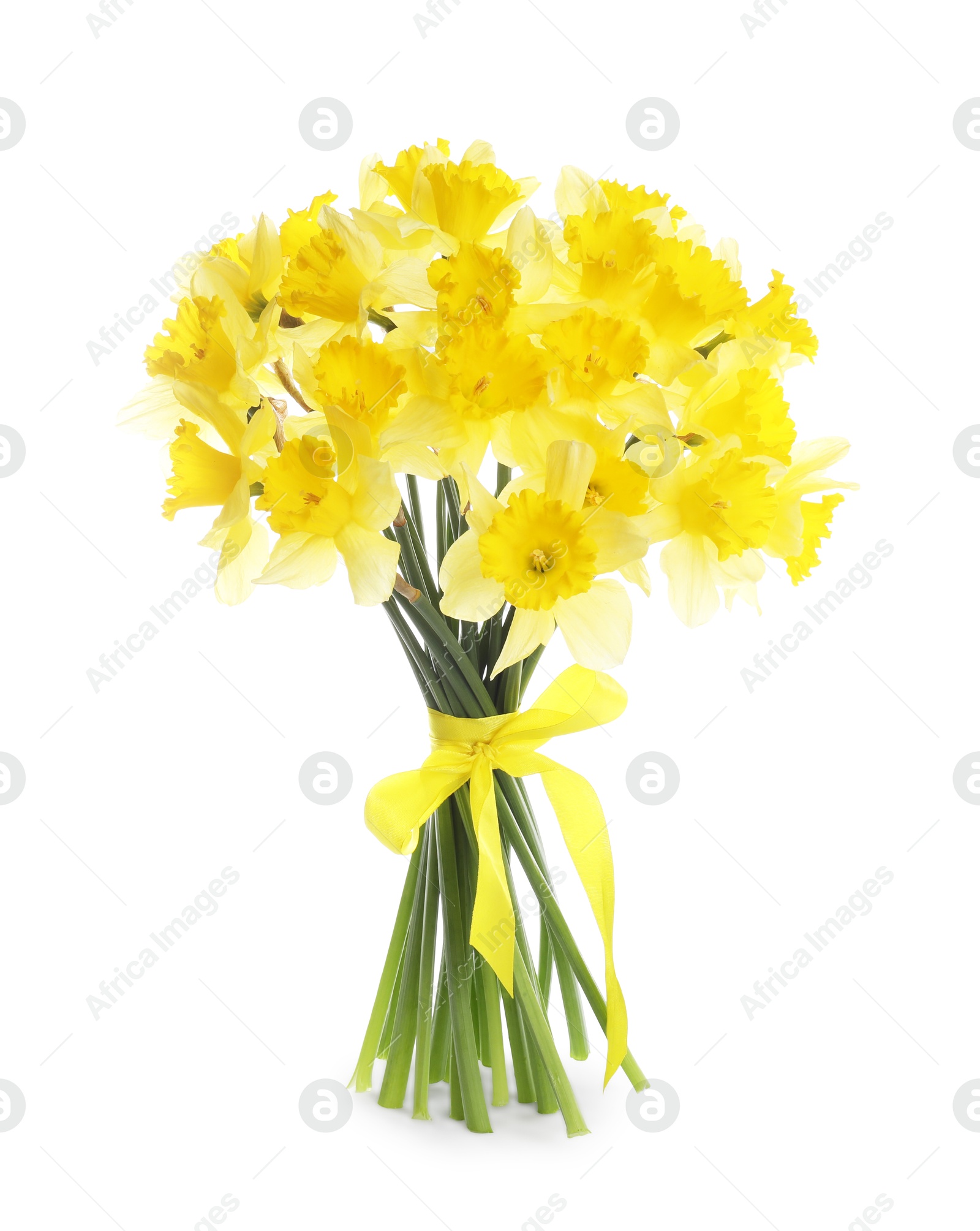 Bouquet of beautiful daffodils isolated on white Photo of Bouquet of beautiful daffodils isolated on white