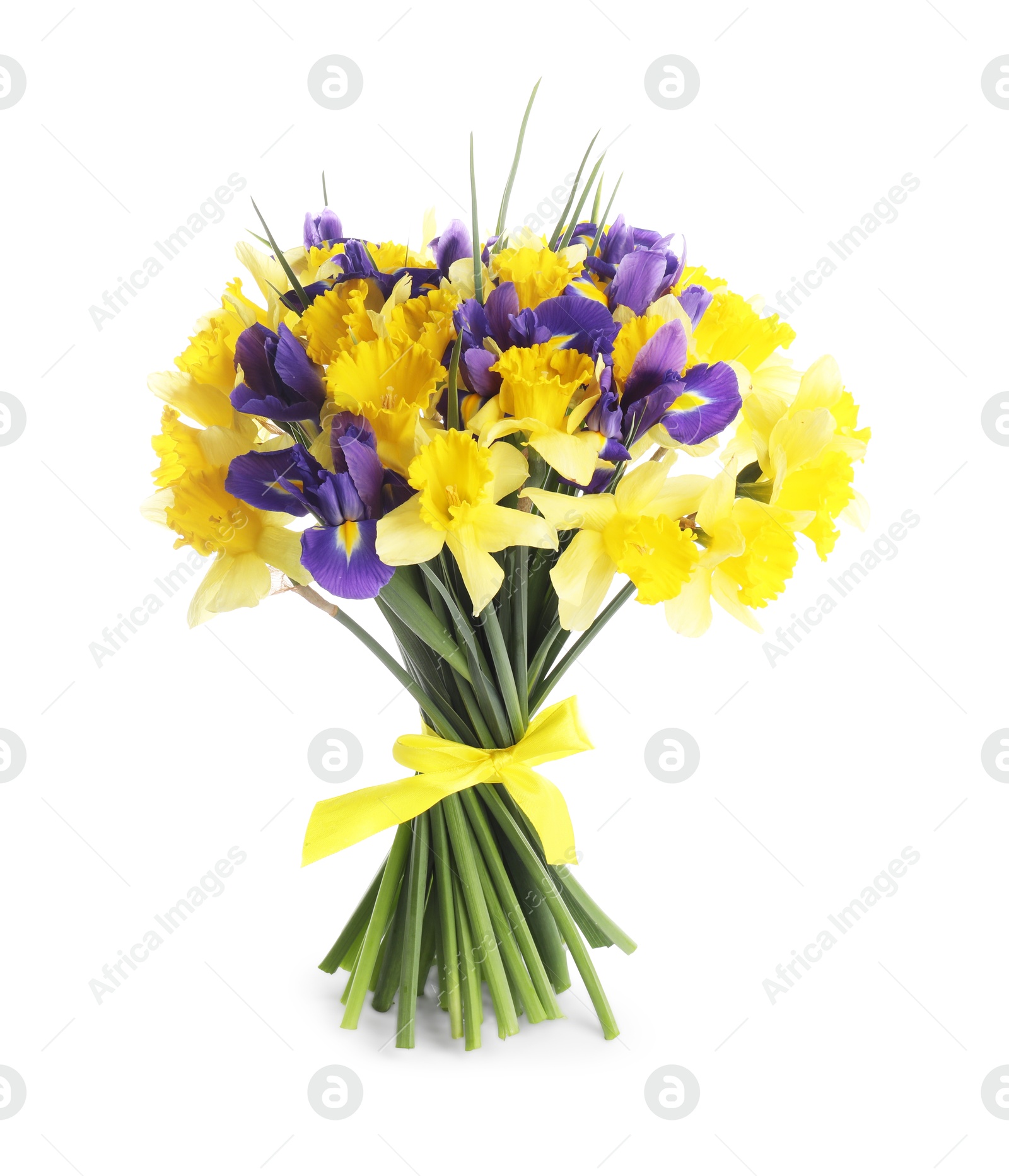 Bouquet of beautiful daffodils and irises isolated on white Photo of Bouquet of beautiful daffodils and irises isolated on white